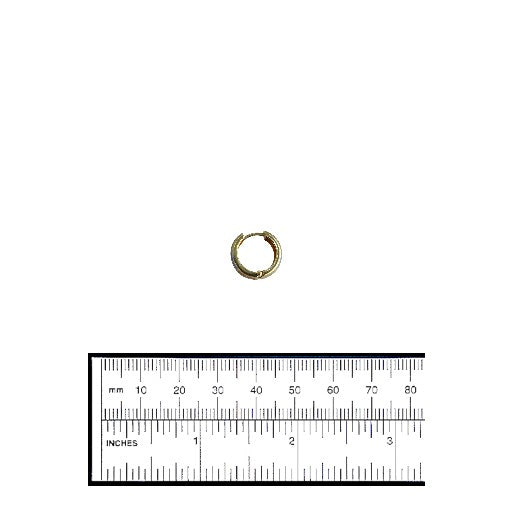 14k Tri-Color Gold Hoop