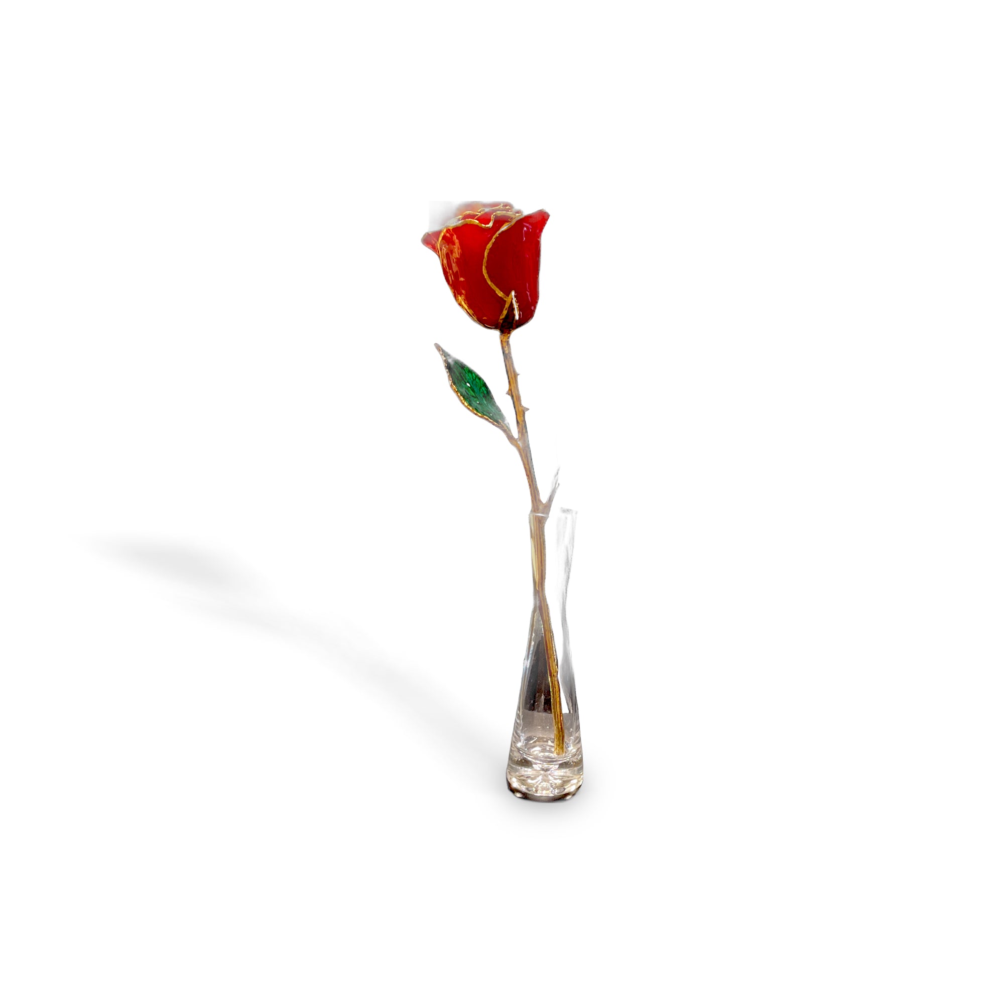 24K Rose Multicor w/Base